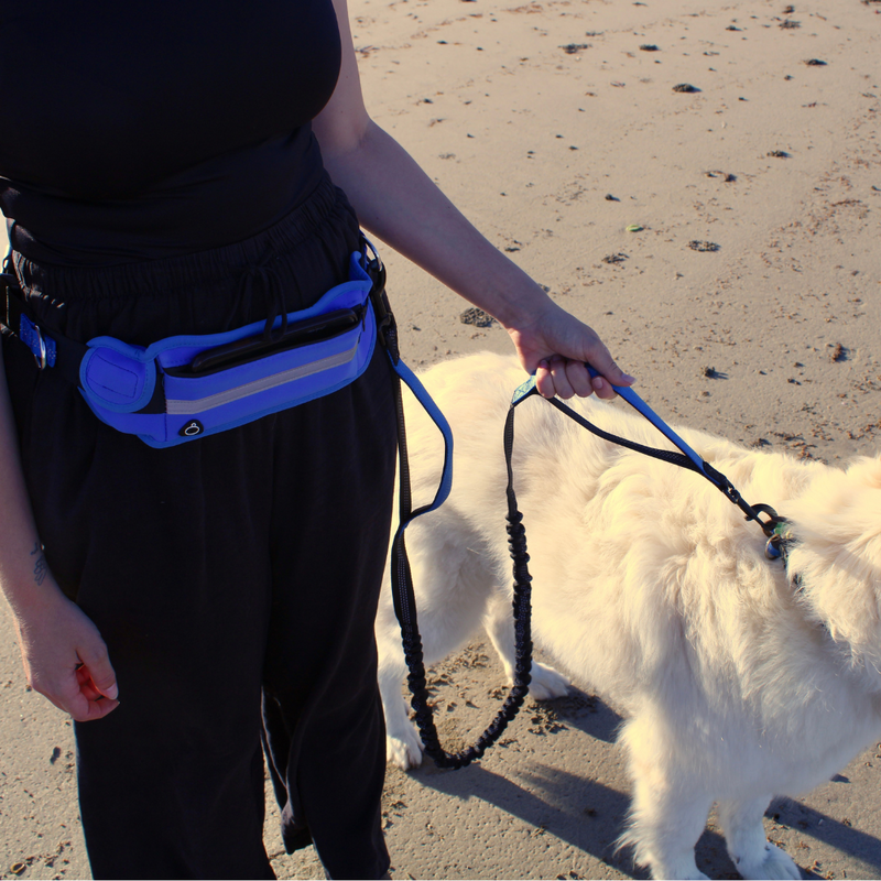 Dog Leash Belt